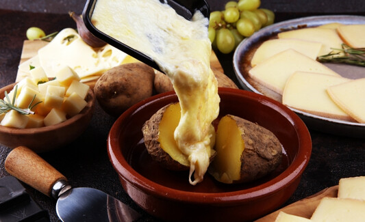 Appareils à raclette et fondue