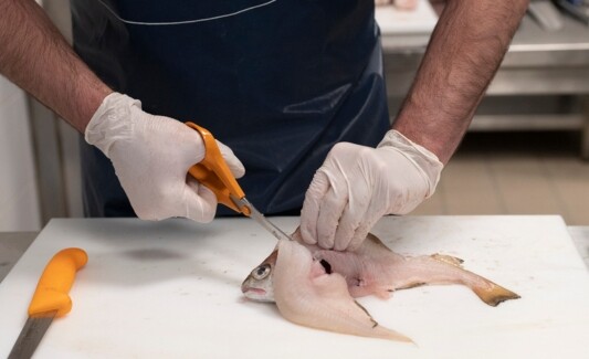 Ciseaux à Poisson