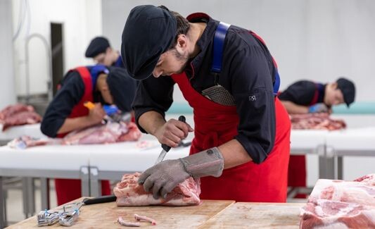 Couteau à désosser