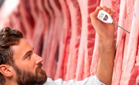 Thermomètres de cuisson