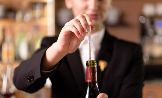 Thermomètres à Vin et Sommellerie