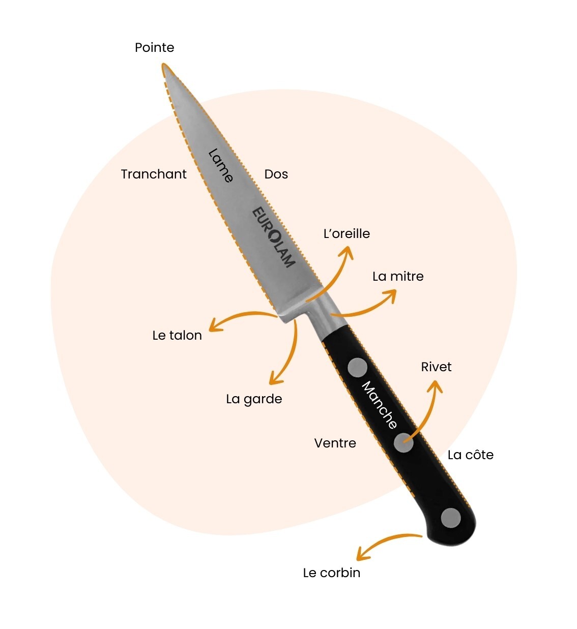Composition d'un couteau.jpg