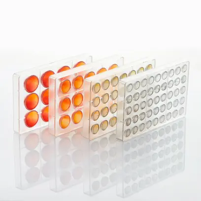 Moule demi-sphère en polycarbonate Visuel