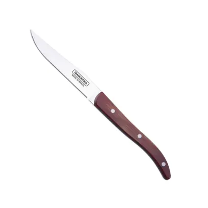 couteau-a-steak-inox-professionnel Visuel