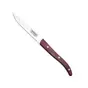 couteau-a-steak-inox-professionnel