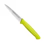 Couteau d'Office Fisher Bargoin 10 cm - Anis