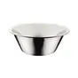 Bassine inox 20 cm