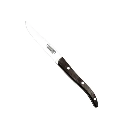 couteau-a-steak-inox-professionnel Visuel