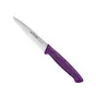 Couteau d'Office Fisher Bargoin 10 cm - Violet