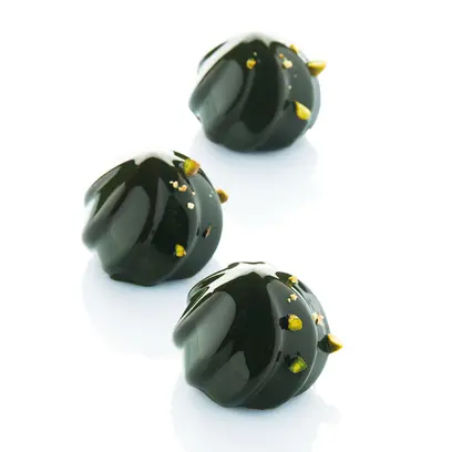 moule-silicone-blacksil-harmony Visuel