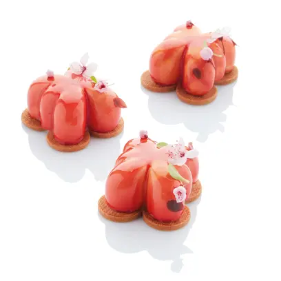 moule-silicone-papillon-martellato Visuel