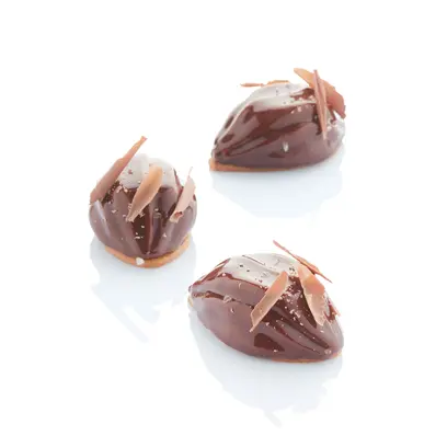 moule-silicone-feve-cacao Visuel