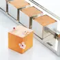 moule-acier-5-mini-cube-martellato