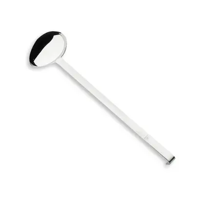 Cuillère à sauce inox 45.5 cm Visuel